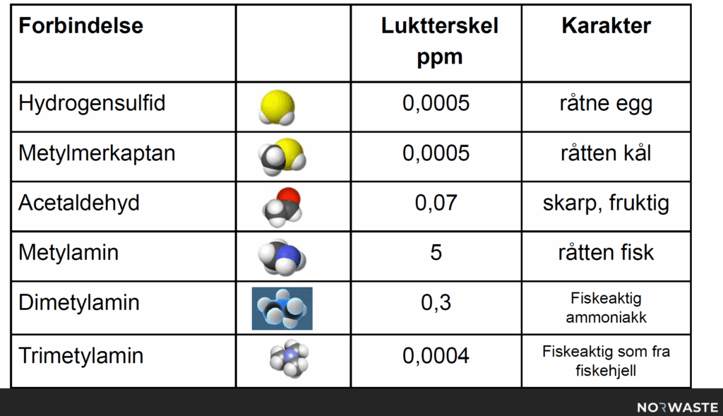 Kva kjemiske forbindelsar som luktar, og kva lukta liknar på. Illustrasjon av 